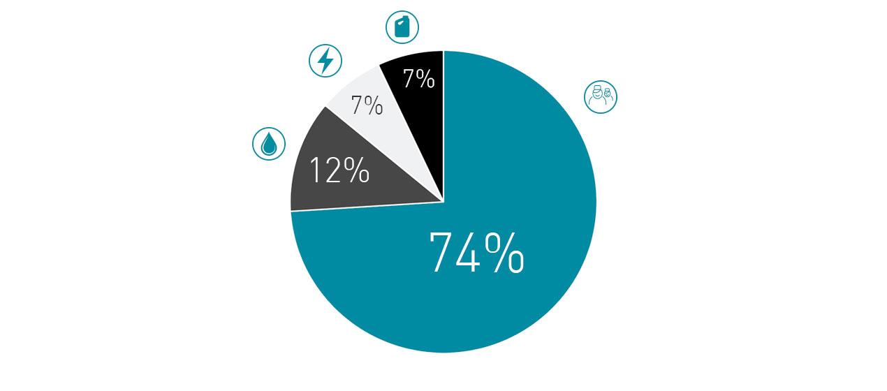 Distribución de los costes de limpieza - gráfico circular Distribución de los costes de limpieza - gráfico circular