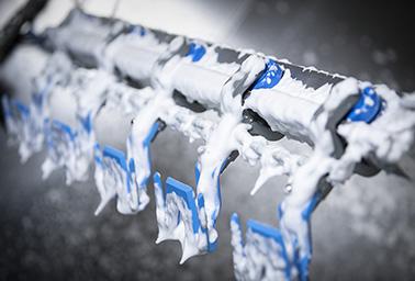 Limpieza de la línea de aves de corral Limpieza de la línea de aves de corral