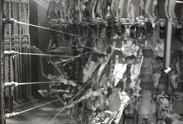 Limpieza de la evisceradora de aves Limpieza de la evisceradora de aves